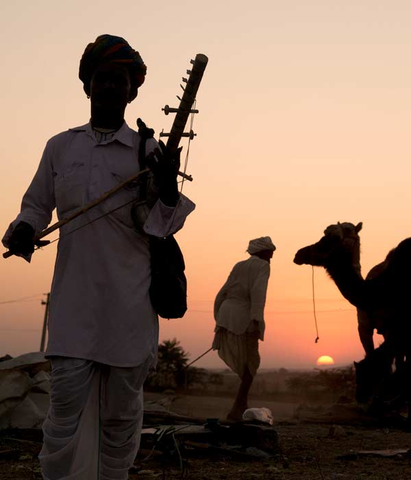 Pushkar Fair Dates, Camel Safari in Pushkar Fair 2026